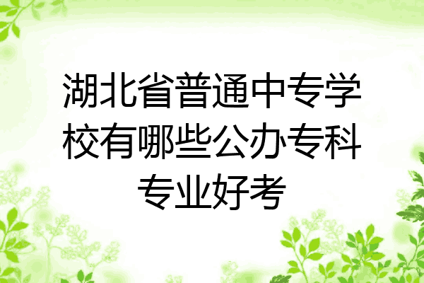 湖北省普通中专学校有哪些公办专科专业好考