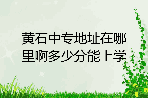 黄石中专地址在哪里啊多少分能上学