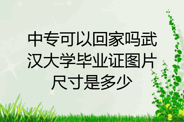 中专可以回家吗武汉大学毕业证图片尺寸是多少