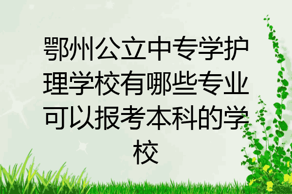 鄂州公立中专学护理学校有哪些专业可以报考本科的学校