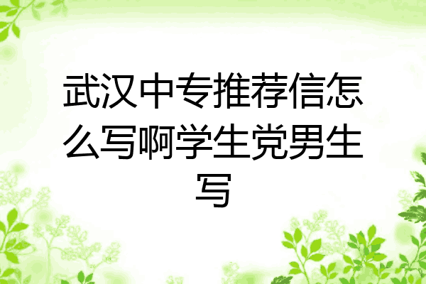 武汉中专推荐信怎么写啊学生党男生写