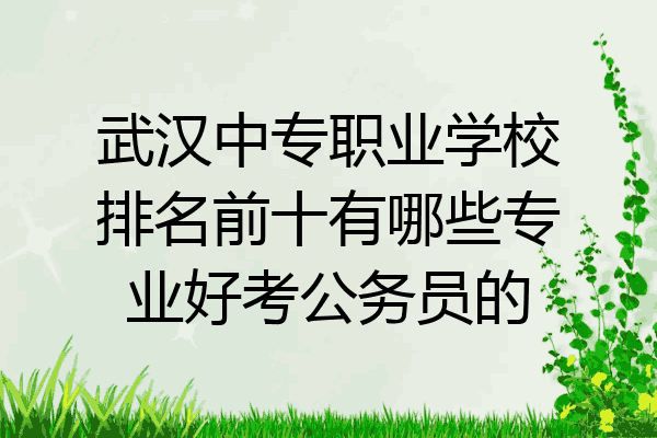 武汉中专职业学校排名前十有哪些专业好考公务员的