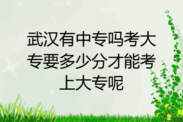 武汉有中专吗考大专要多少分才能考上大专呢