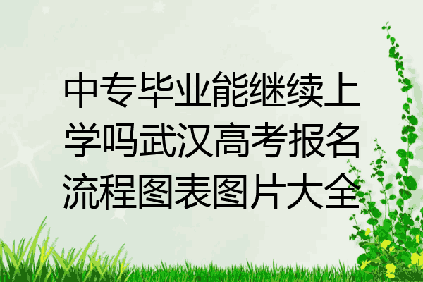 中专毕业能继续上学吗武汉高考报名流程图表图片大全