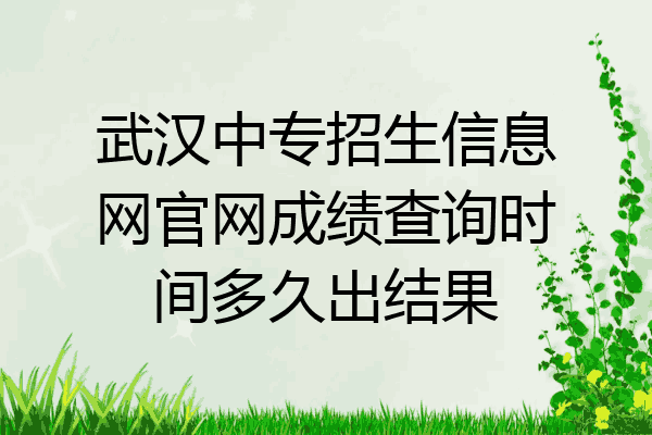 武汉中专招生信息网官网成绩查询时间多久出结果