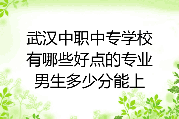 武汉中职中专学校有哪些好点的专业男生多少分能上
