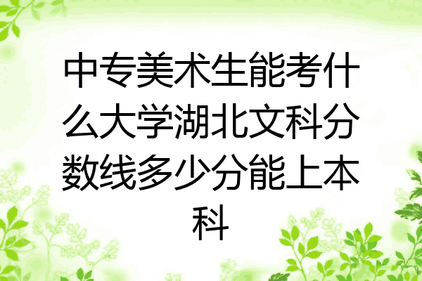 中专美术生能考什么大学湖北文科分数线多少分能上本科