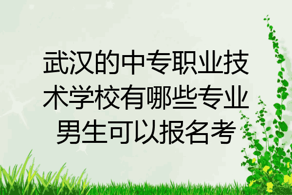 武汉的中专职业技术学校有哪些专业男生可以报名考