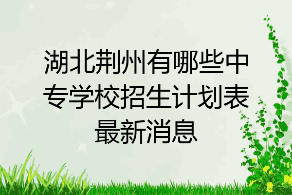 湖北荆州有哪些中专学校招生计划表最新消息