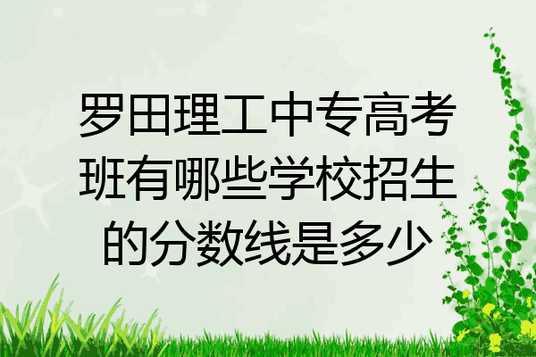 罗田理工中专高考班有哪些学校招生的分数线是多少