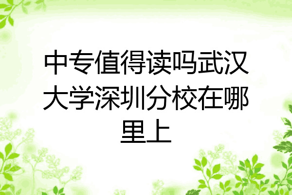 中专值得读吗武汉大学深圳分校在哪里上