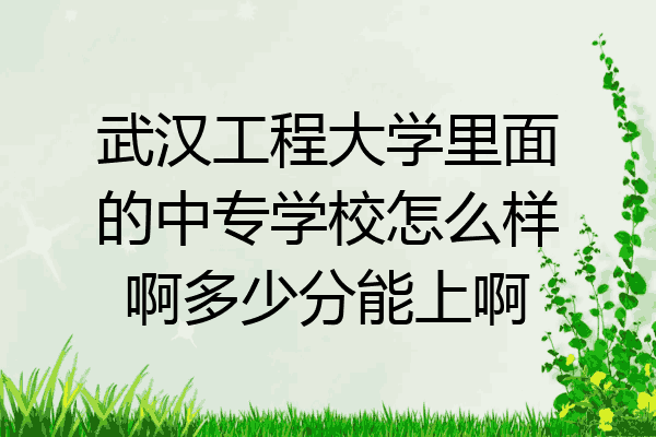 武汉工程大学里面的中专学校怎么样啊多少分能上啊