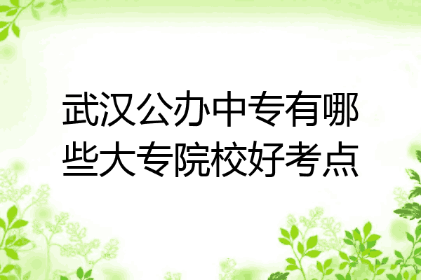 武汉公办中专有哪些大专院校好考点