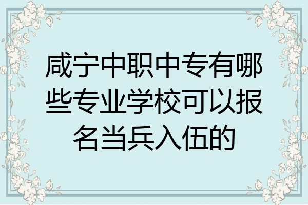 咸宁中职中专有哪些专业学校可以报名当兵入伍的