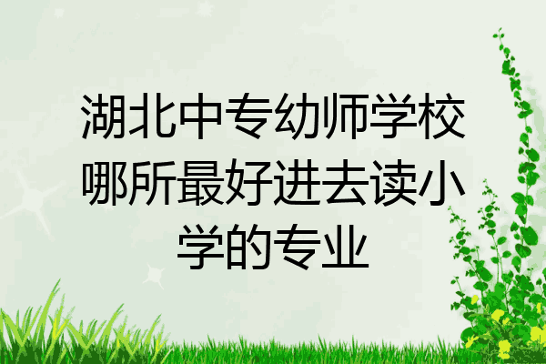 湖北中专幼师学校哪所最好进去读小学的专业