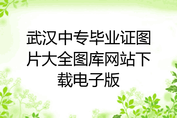 武汉中专毕业证图片大全图库网站下载电子版