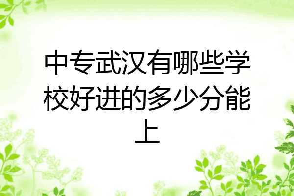 中专武汉有哪些学校好进的多少分能上