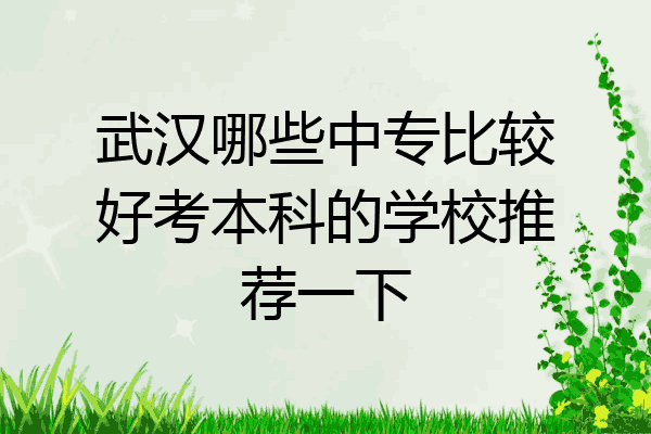武汉哪些中专比较好考本科的学校推荐一下