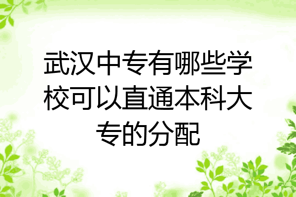 武汉中专有哪些学校可以直通本科大专的分配