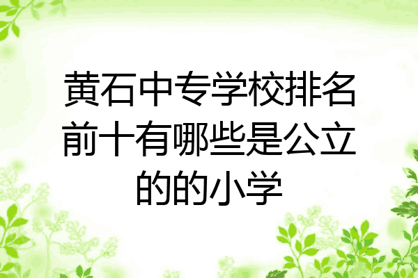 黄石中专学校排名前十有哪些是公立的的小学