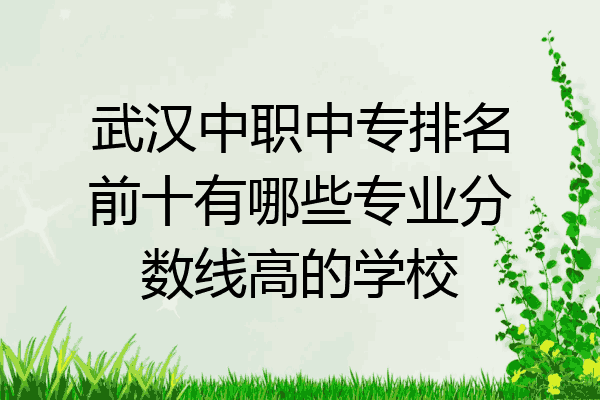 武汉中职中专排名前十有哪些专业分数线高的学校