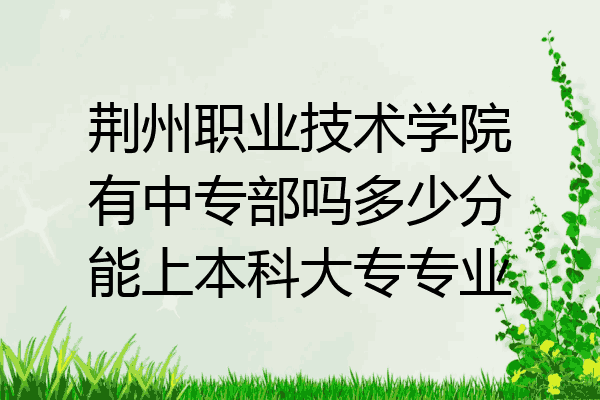 荆州职业技术学院有中专部吗多少分能上本科大专专业