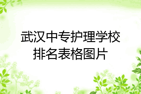 武汉中专护理学校排名表格图片