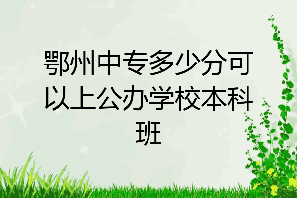 鄂州中专多少分可以上公办学校本科班