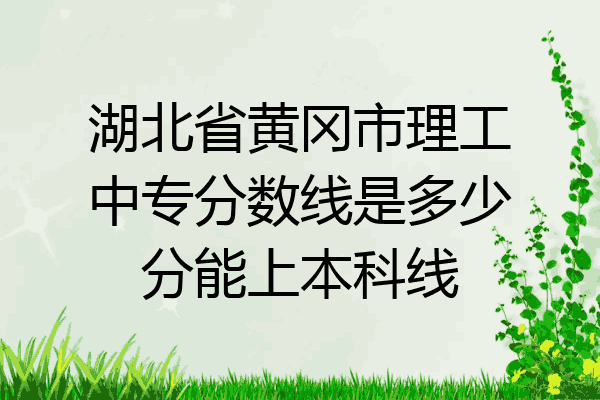 湖北省黄冈市理工中专分数线是多少分能上本科线
