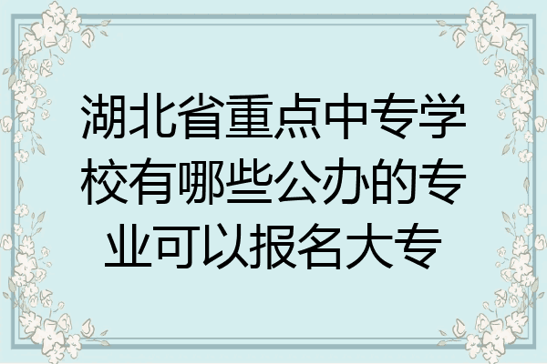湖北省重点中专学校有哪些公办的专业可以报名大专