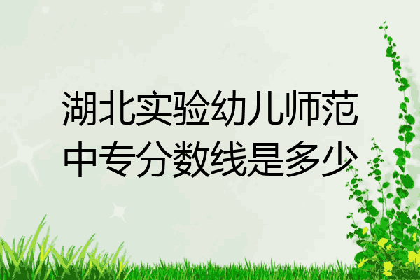 湖北实验幼儿师范中专分数线是多少