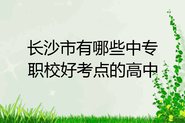 长沙市有哪些中专职校好考点的高中