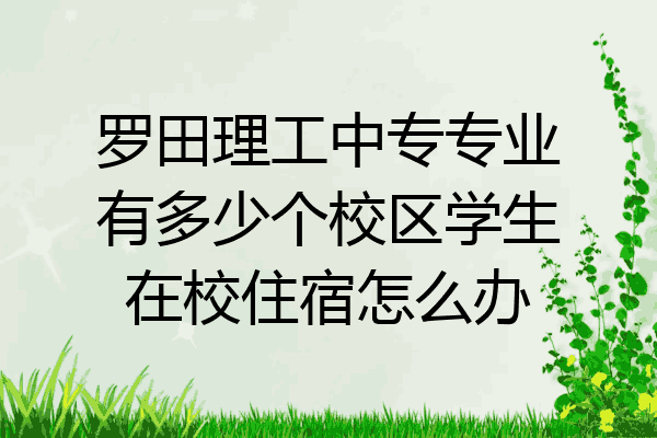 罗田理工中专专业有多少个校区学生在校住宿怎么办