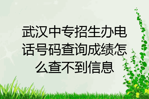 武汉中专招生办电话号码查询成绩怎么查不到信息