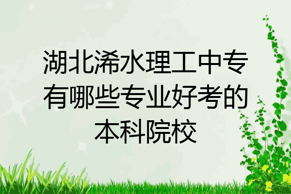 湖北浠水理工中专有哪些专业好考的本科院校