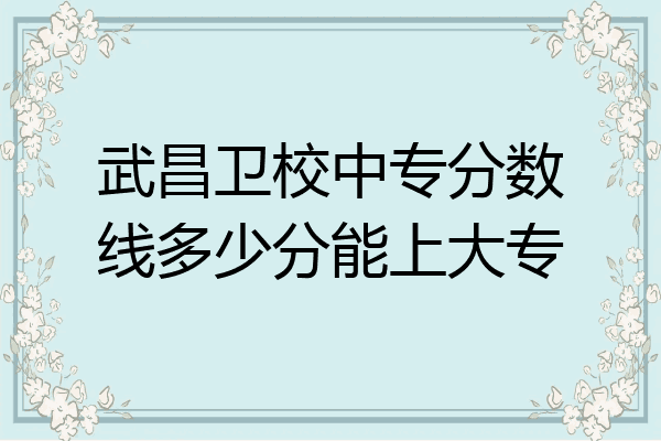 武昌卫校中专分数线多少分能上大专