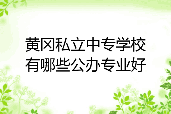 黄冈私立中专学校有哪些公办专业好