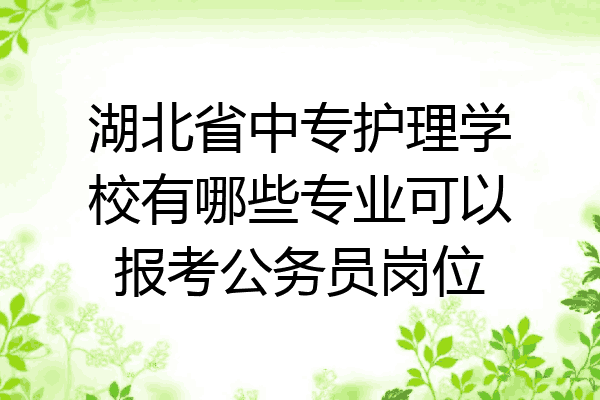 湖北省中专护理学校有哪些专业可以报考公务员岗位