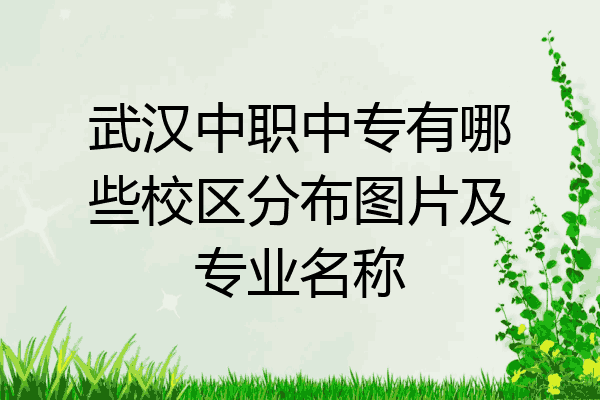 武汉中职中专有哪些校区分布图片及专业名称