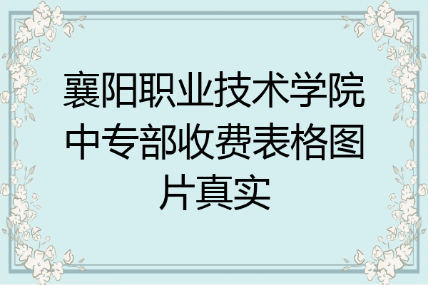 襄阳职业技术学院中专部收费表格图片真实