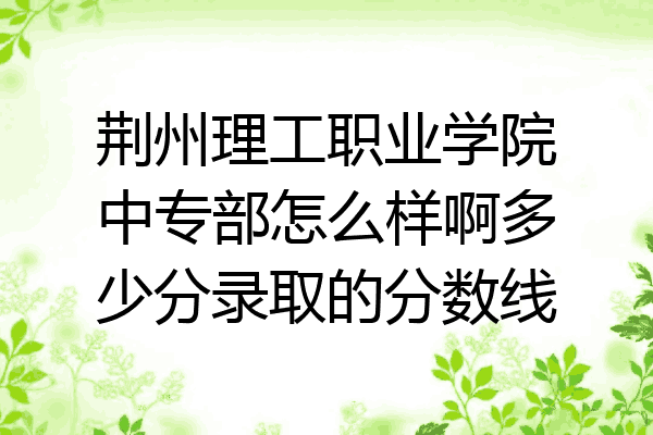 荆州理工职业学院中专部怎么样啊多少分录取的分数线