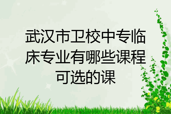 武汉市卫校中专临床专业有哪些课程可选的课