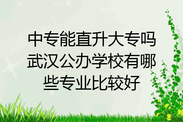 中专能直升大专吗武汉公办学校有哪些专业比较好