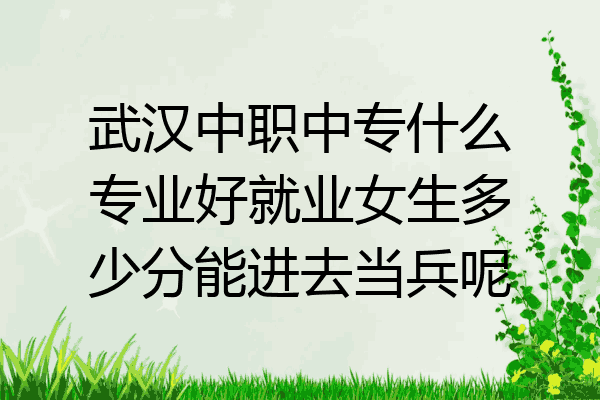 武汉中职中专什么专业好就业女生多少分能进去当兵呢