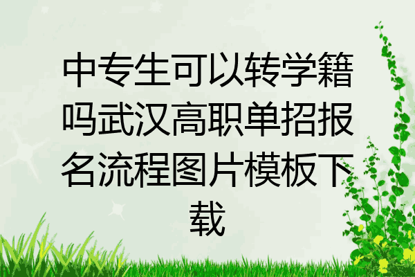 中专生可以转学籍吗武汉高职单招报名流程图片模板下载