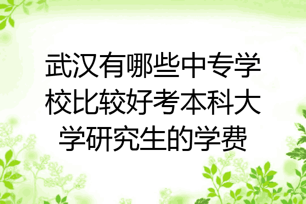 武汉有哪些中专学校比较好考本科大学研究生的学费