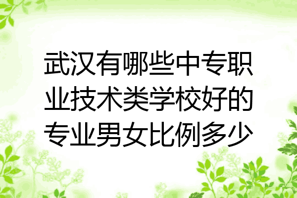 武汉有哪些中专职业技术类学校好的专业男女比例多少