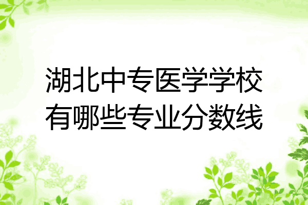 湖北中专医学学校有哪些专业分数线