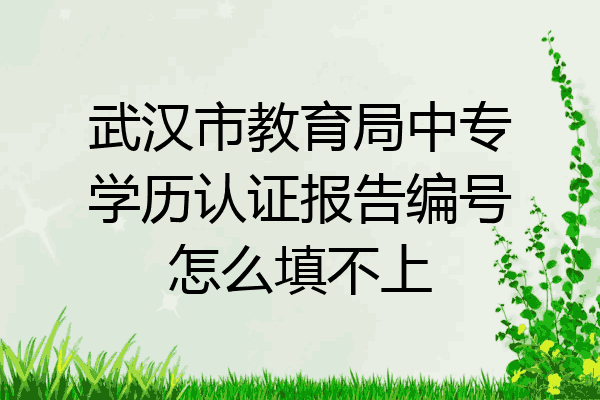 武汉市教育局中专学历认证报告编号怎么填不上