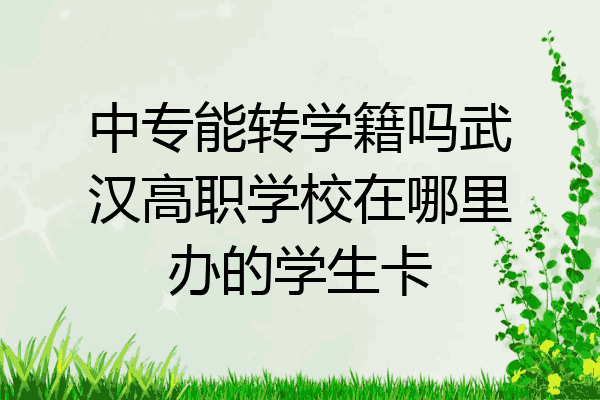 中专能转学籍吗武汉高职学校在哪里办的学生卡